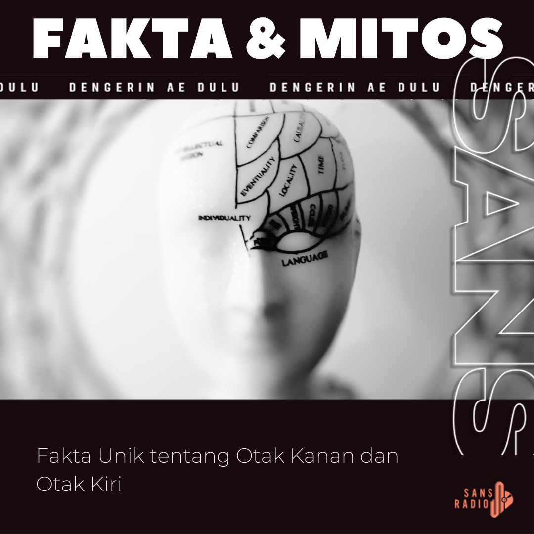 Fakta Unik tentang Otak Kanan dan Otak Kiri